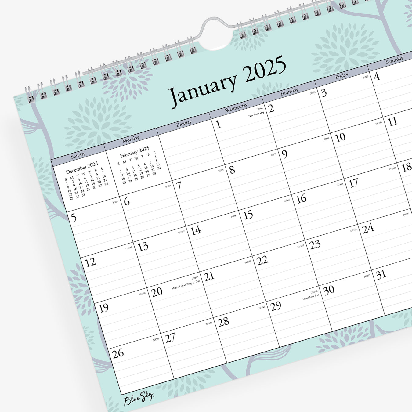 January 2025 - December 2025 monthly wall calendar in 11 x 8.75 size