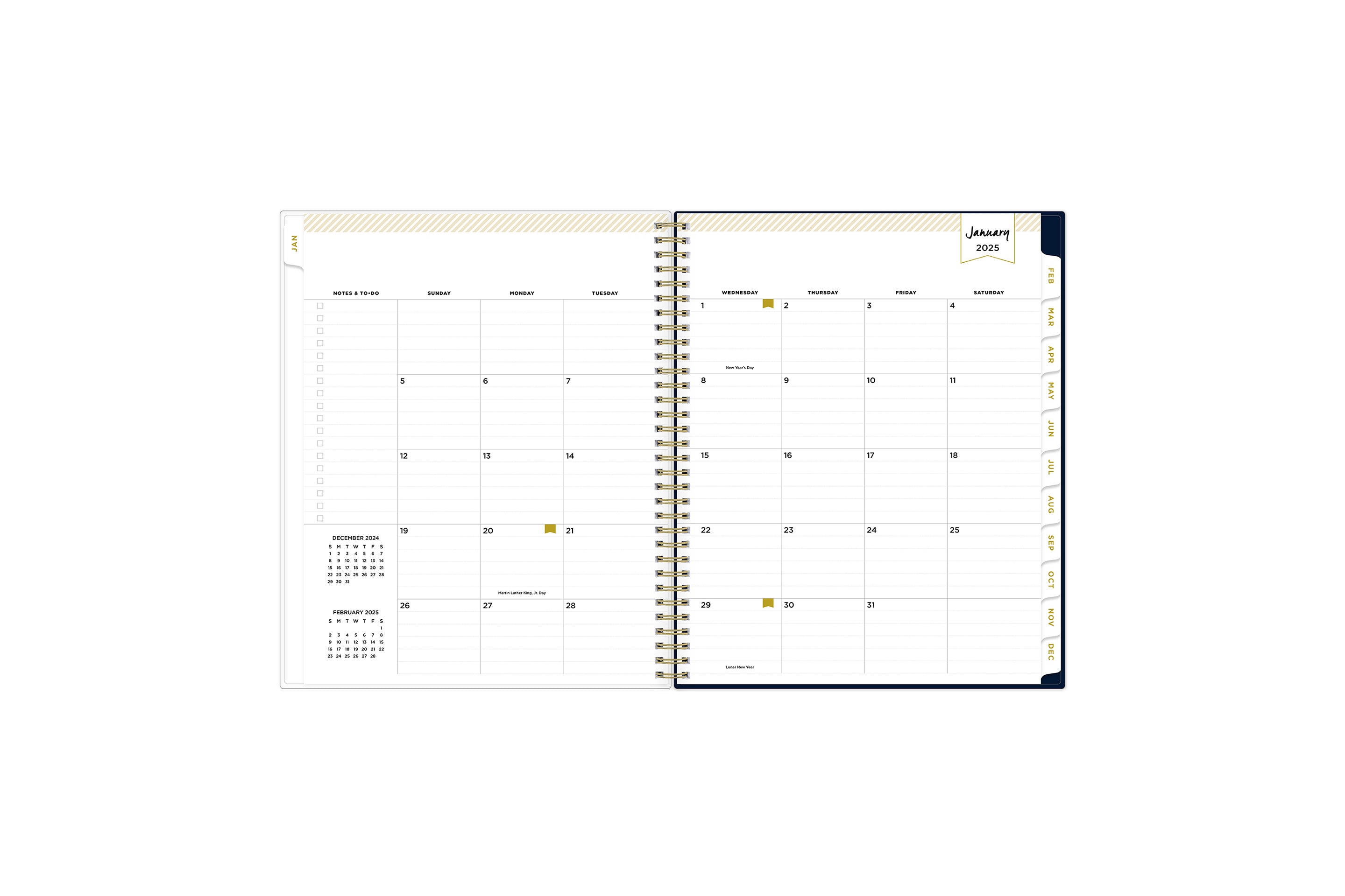 January 2025 monthly overview with to do lists, notes section, square boxes with lined writing space for dates, and white colored monthly tabs