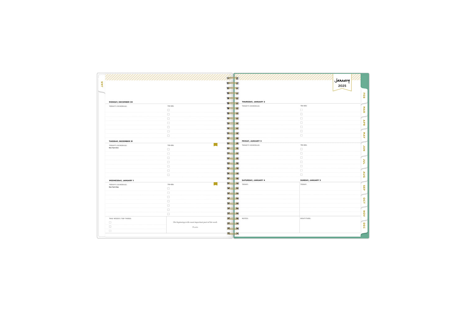 January 2025 weekly overview with to do lists, notes section, square boxes with lined writing space for dates, and whitecolored monthly tabs