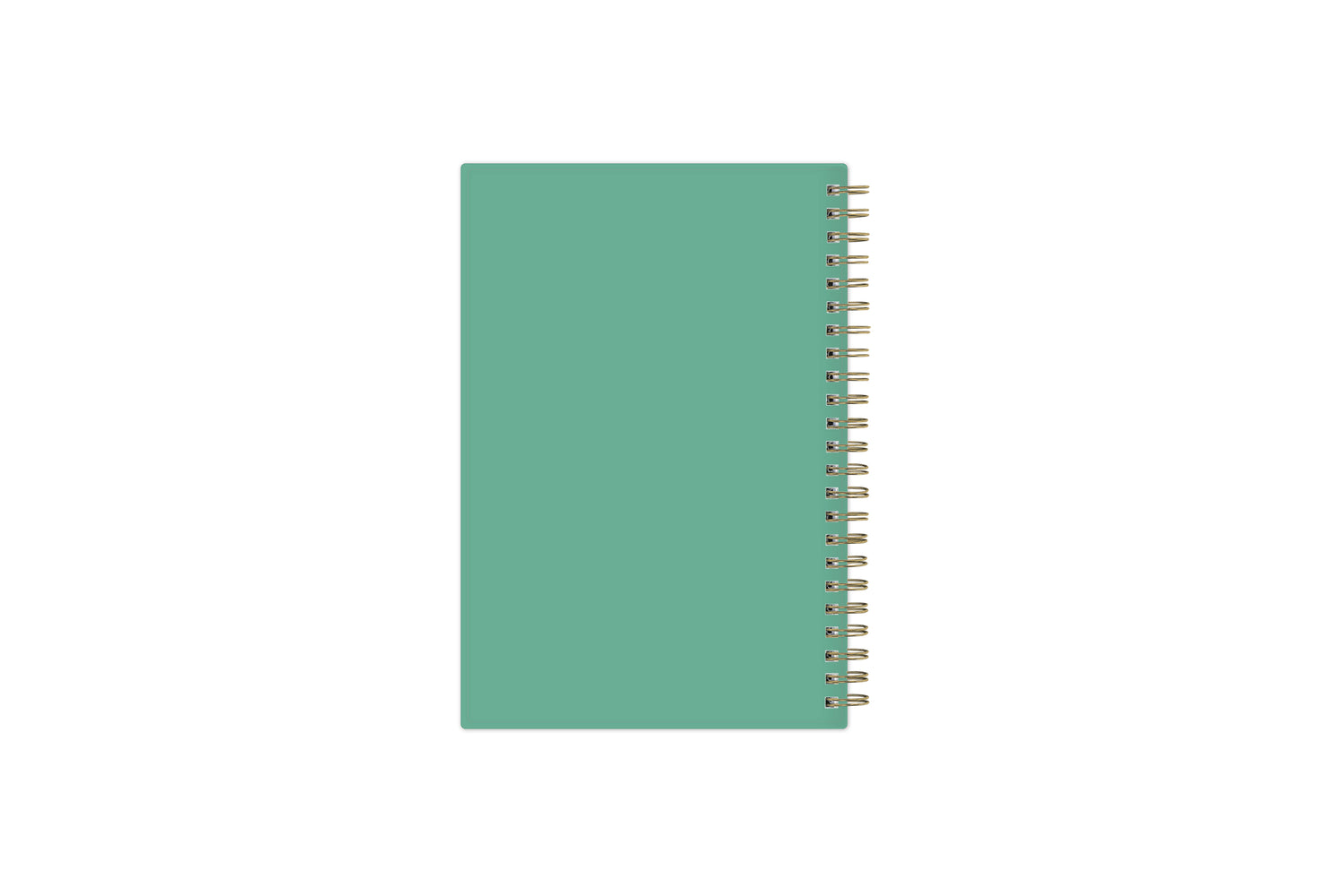 2025 weekly monthly planner featuring a mint green flexible back cover and gold twin wire-o binding