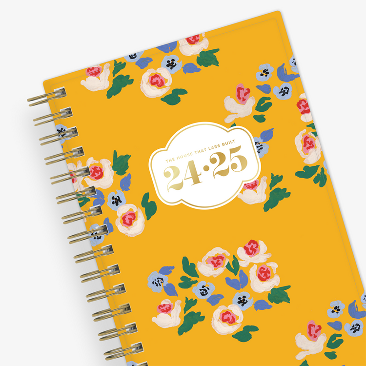 20242025 Blue Sky Planners