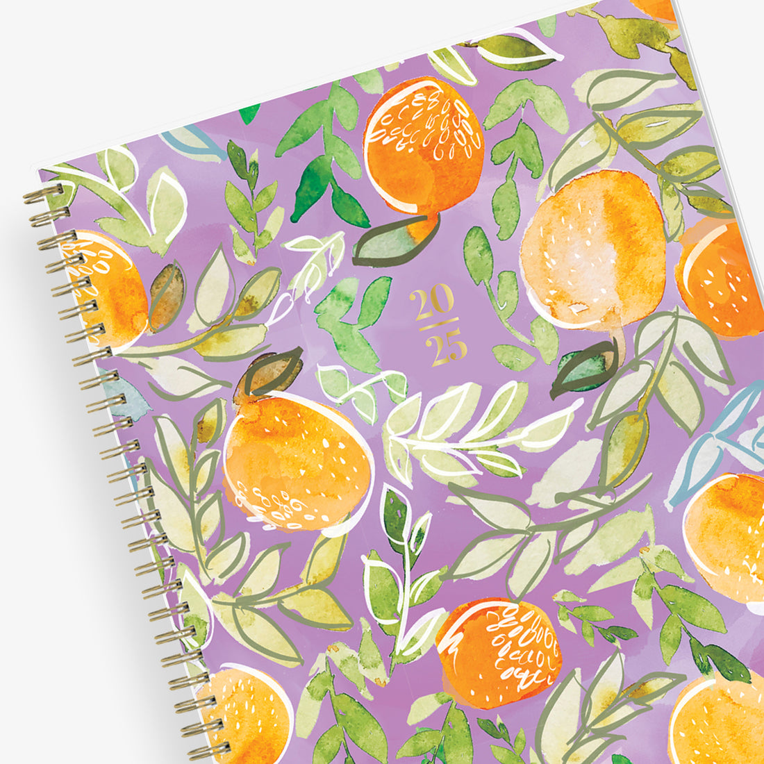 Citrus Sunrise 2025 Weekly Monthly 8.5x11 Britt Mills for Blue Sky Planning Calendar