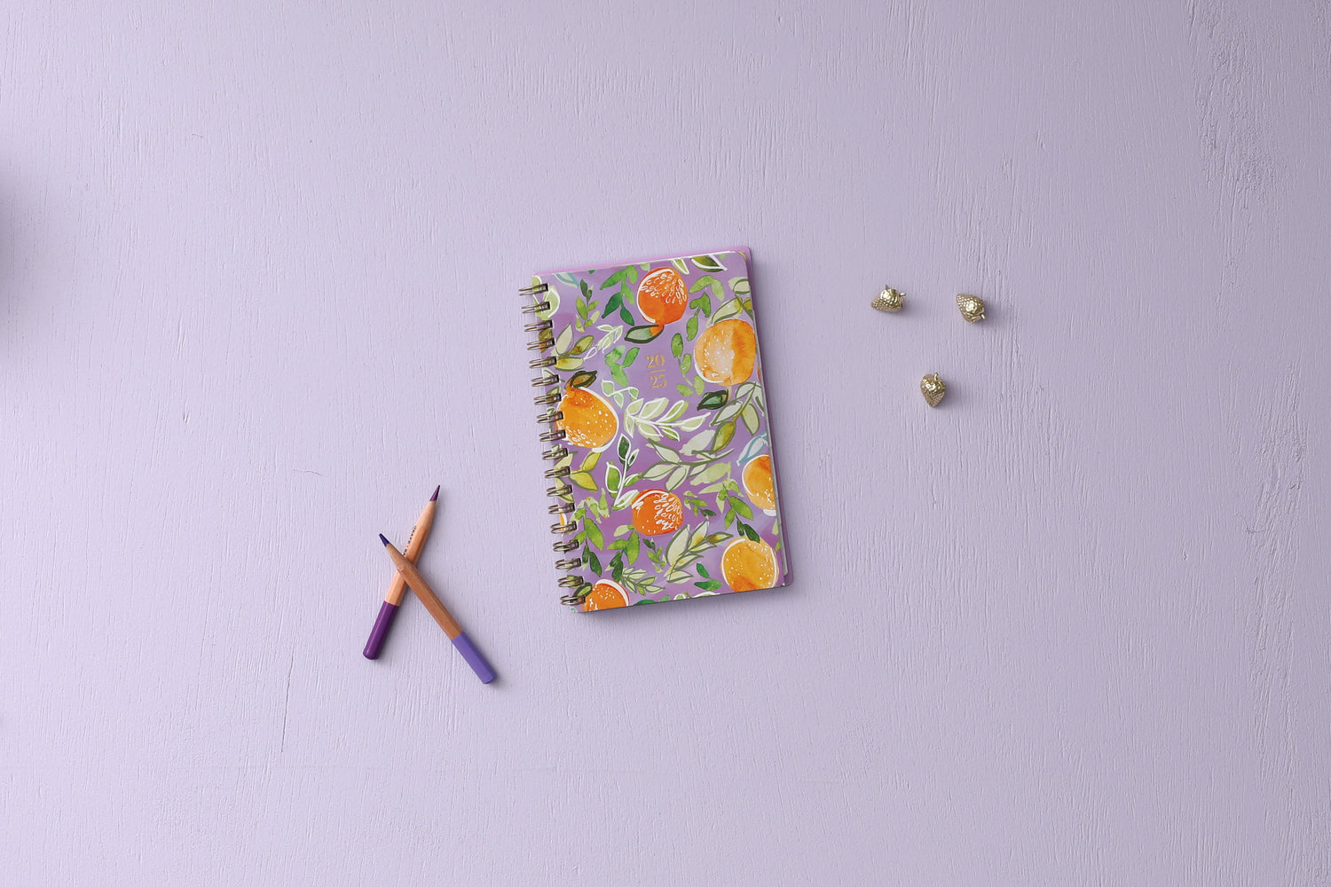 orange fruit front cover on this 2025 pocket sized planner
