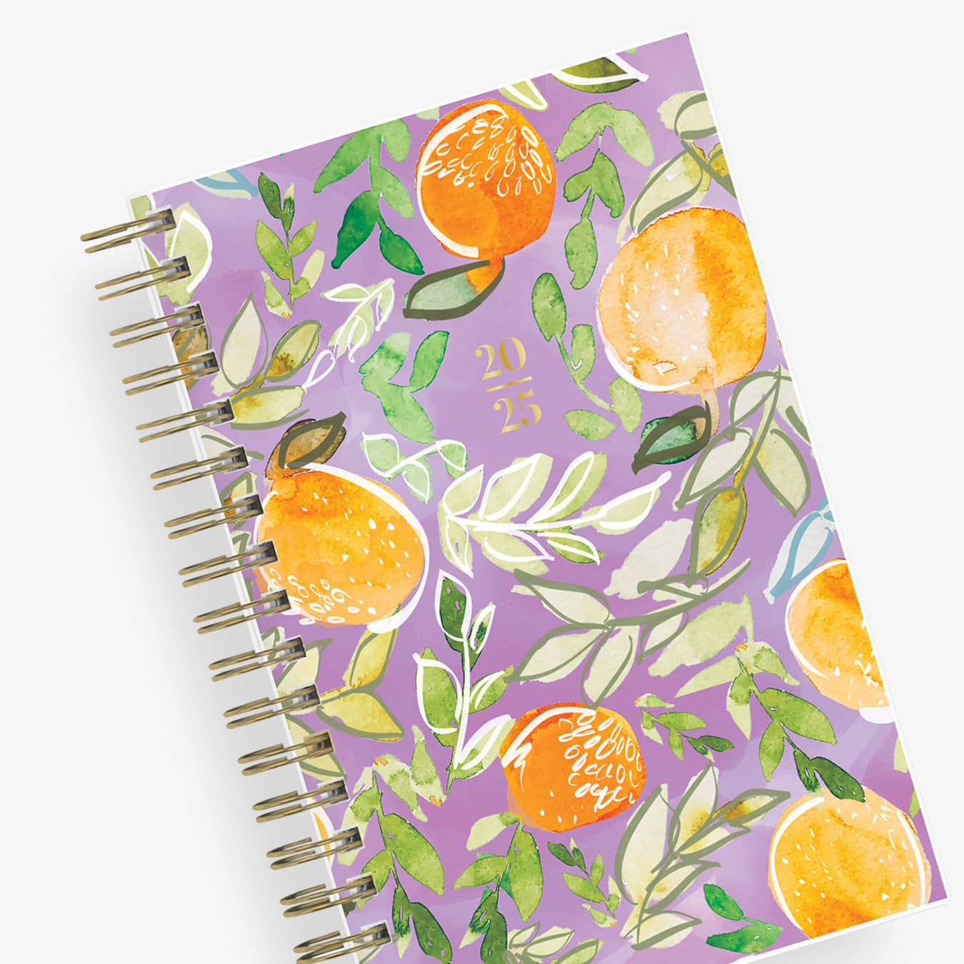 orange fruit front cover on this 2025 pocket sized planner
