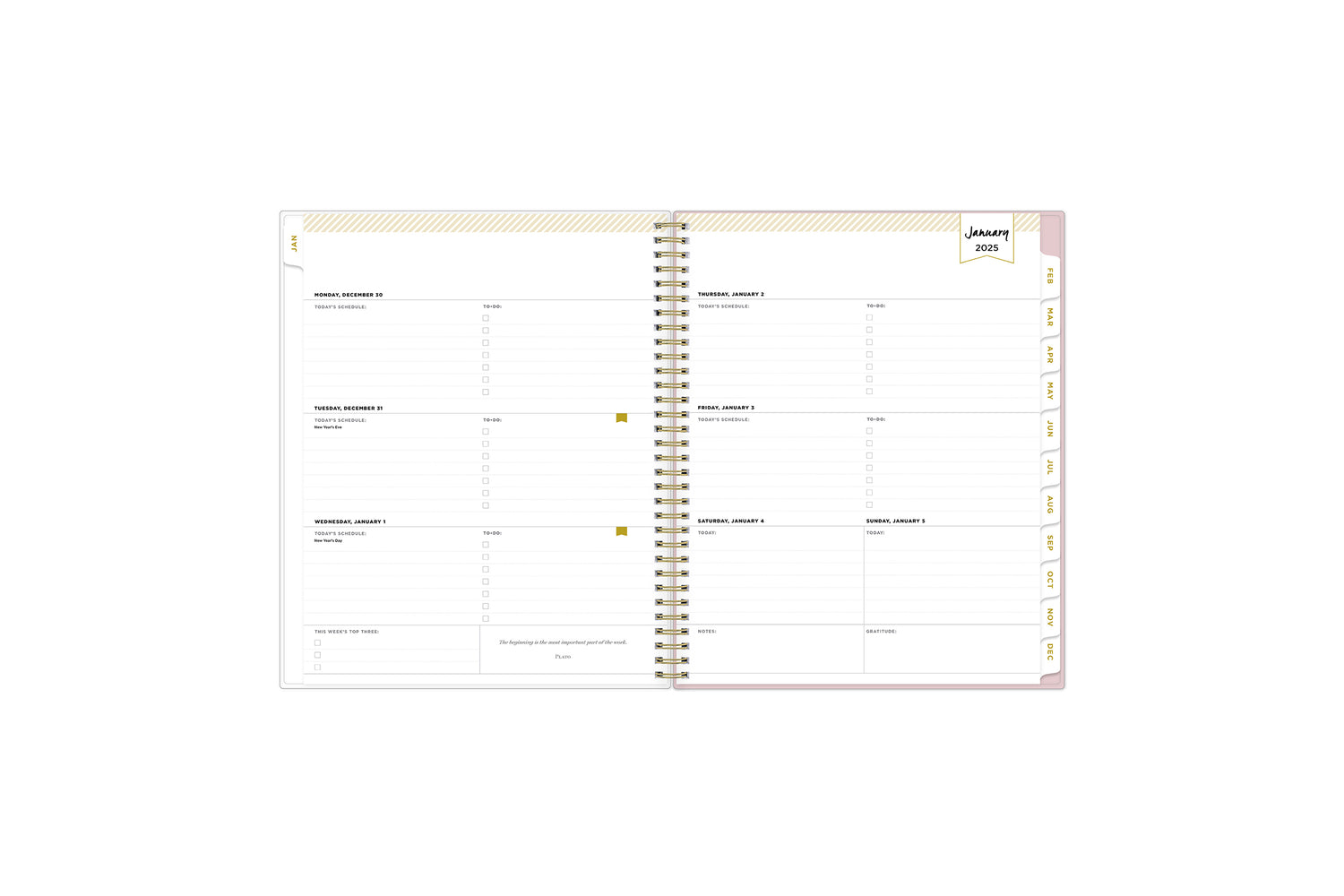 2025 planner featuring a weekly spread with lined writing space, bullet points, and monthly white tabs with gold text.
