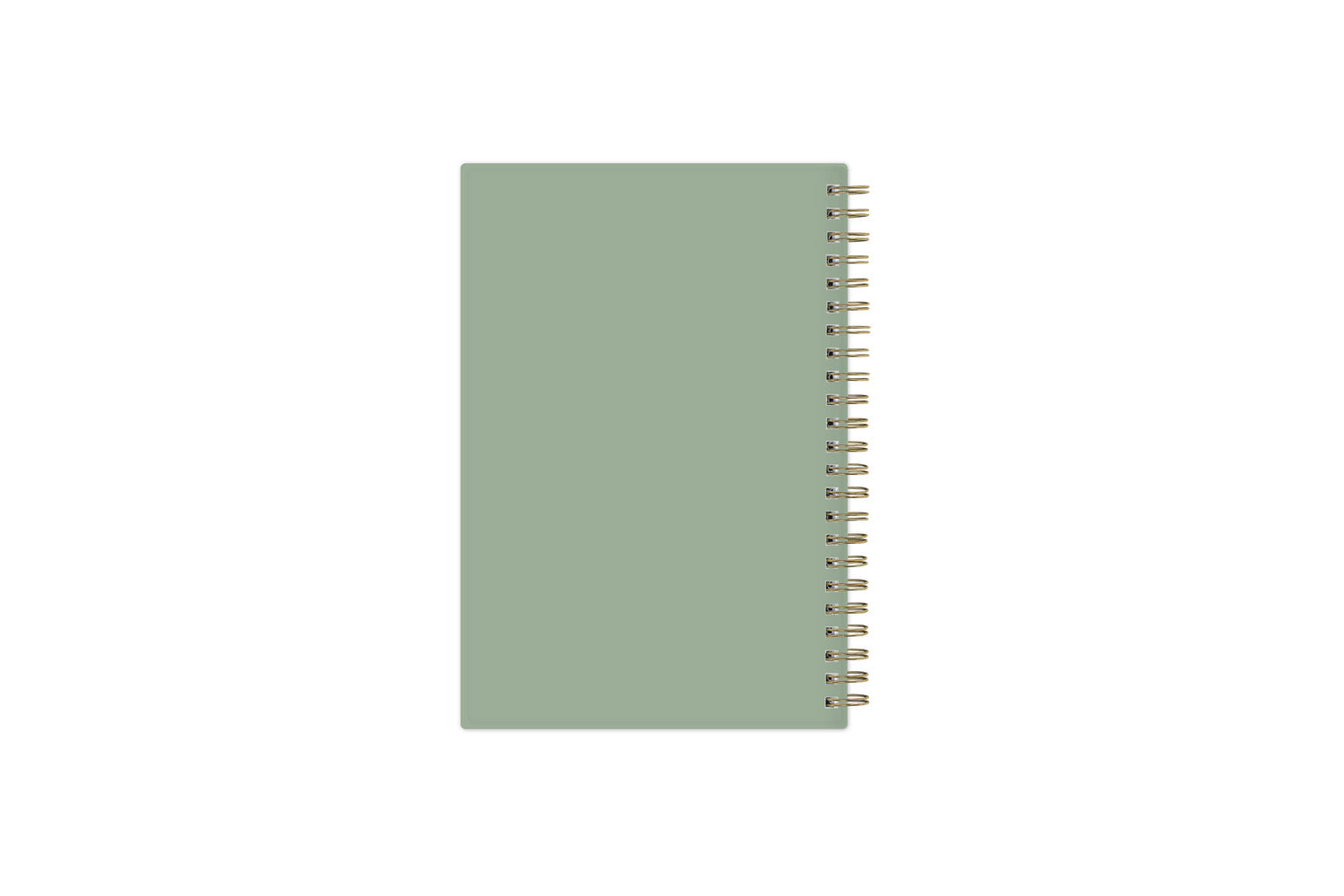 solid sage green backcover in a pocket sized planner