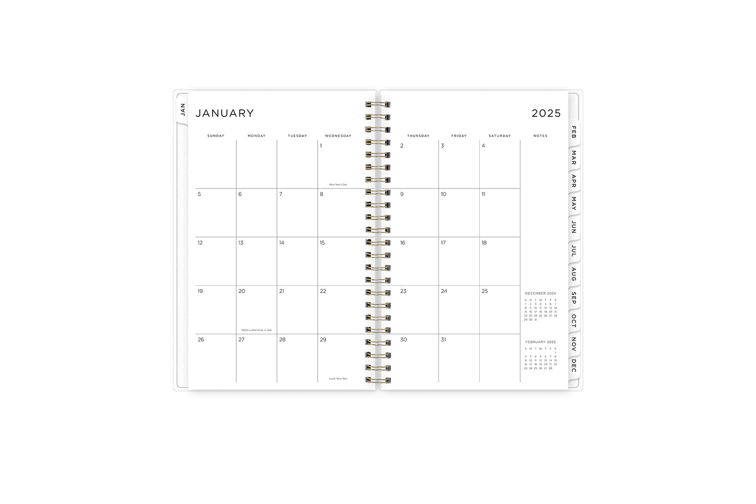 2025 planner featuring a monthly spread with black writing space, and monthly white tabs with black text.
