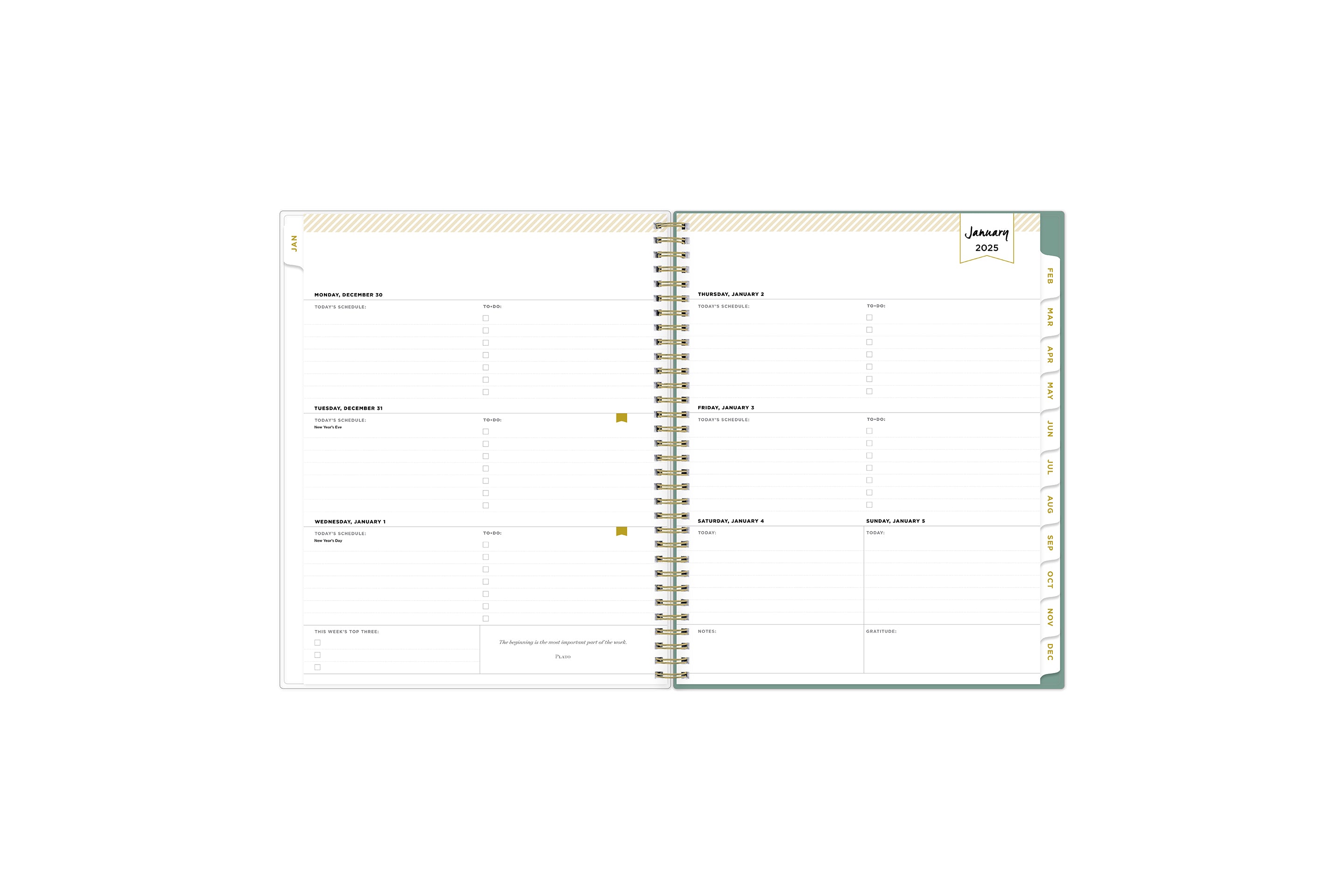 2025 planner featuring a weekly spread with lined writing space, bullet points, and monthly white tabs with gold text.