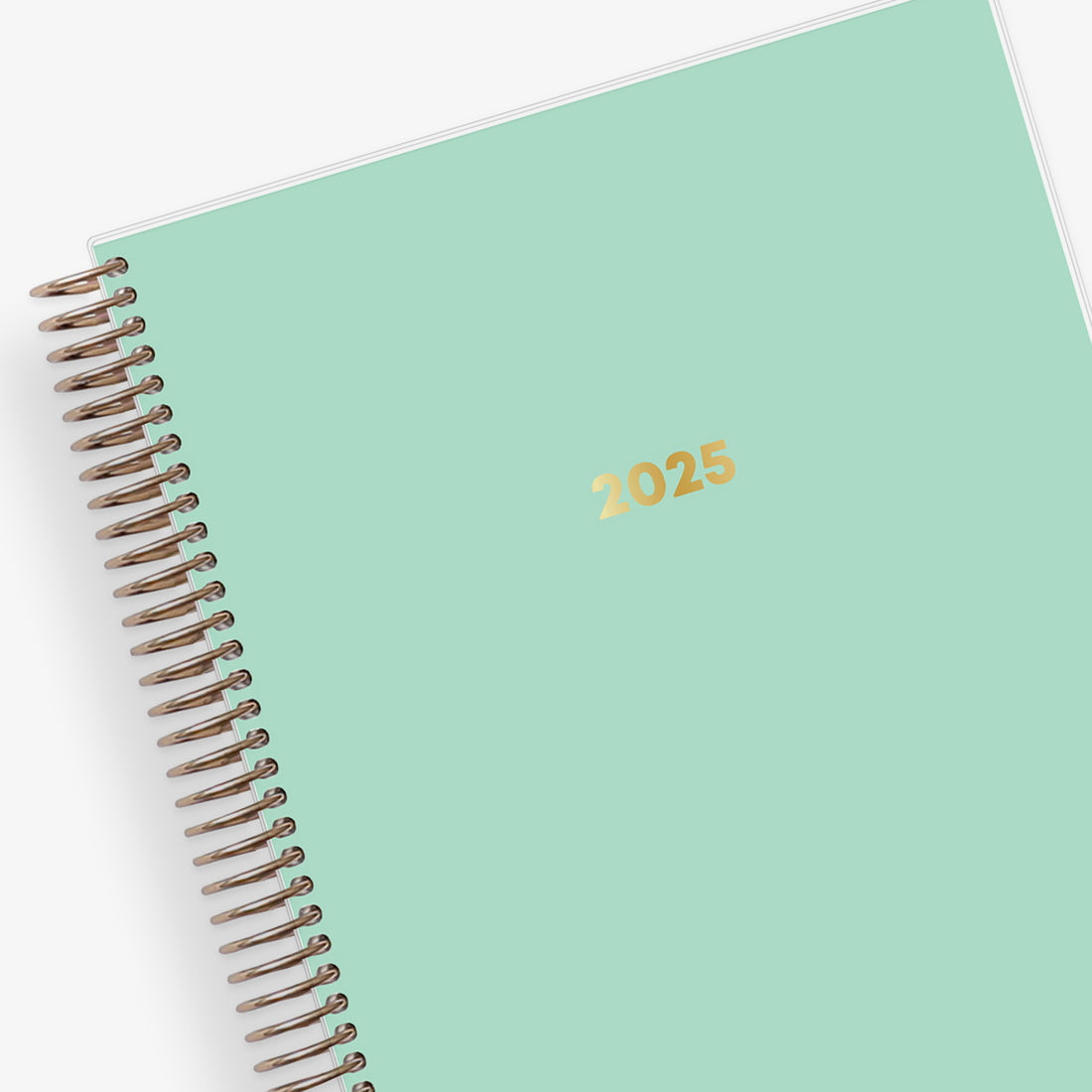 Mint 2025 Daily 7x9 LiveWell™ Planning Calendar