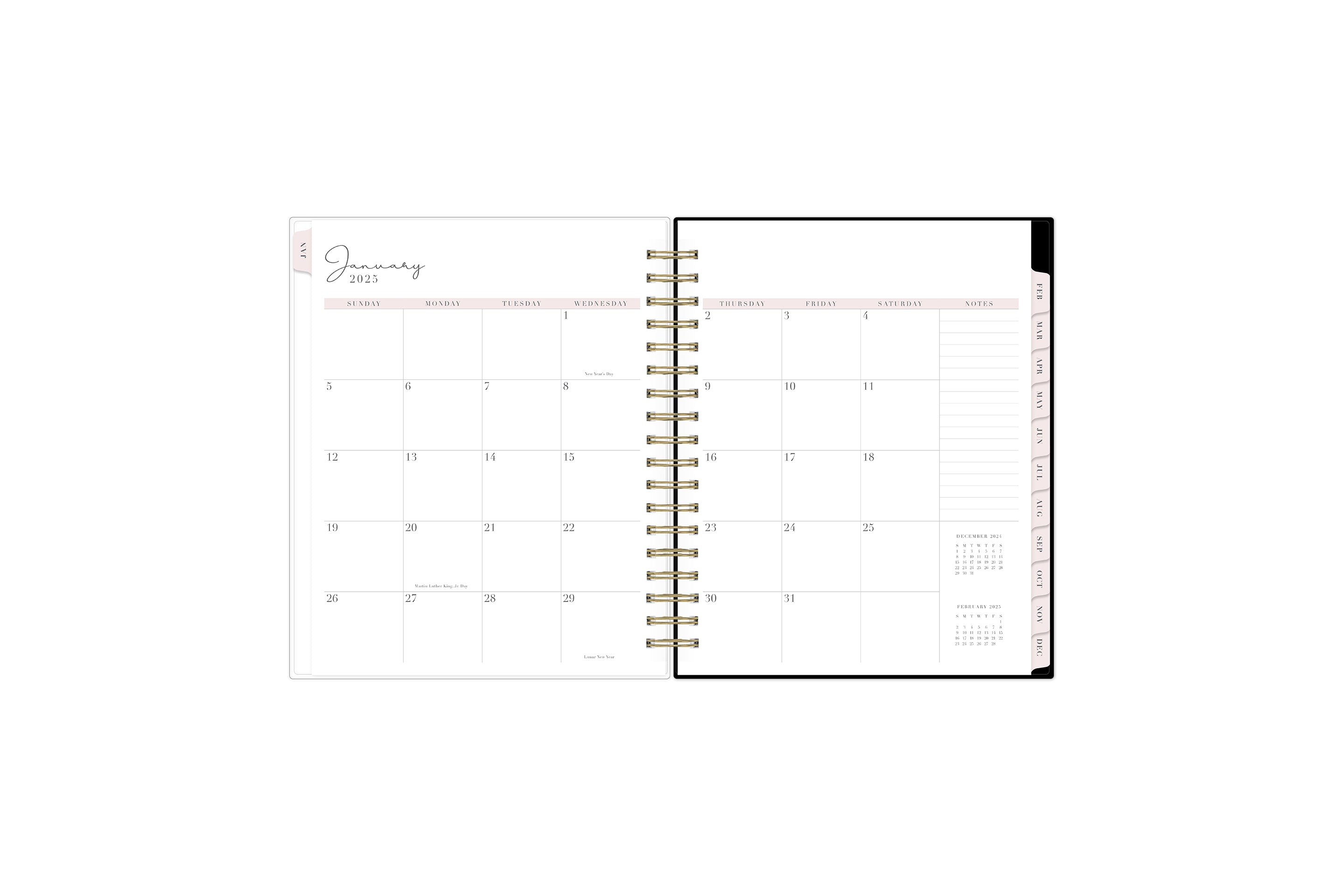 The 2025 Rach Parcell daily planner features a monthly view with ample blank white writing space, reference calendars, notes section, and soft pink monthly tabs.