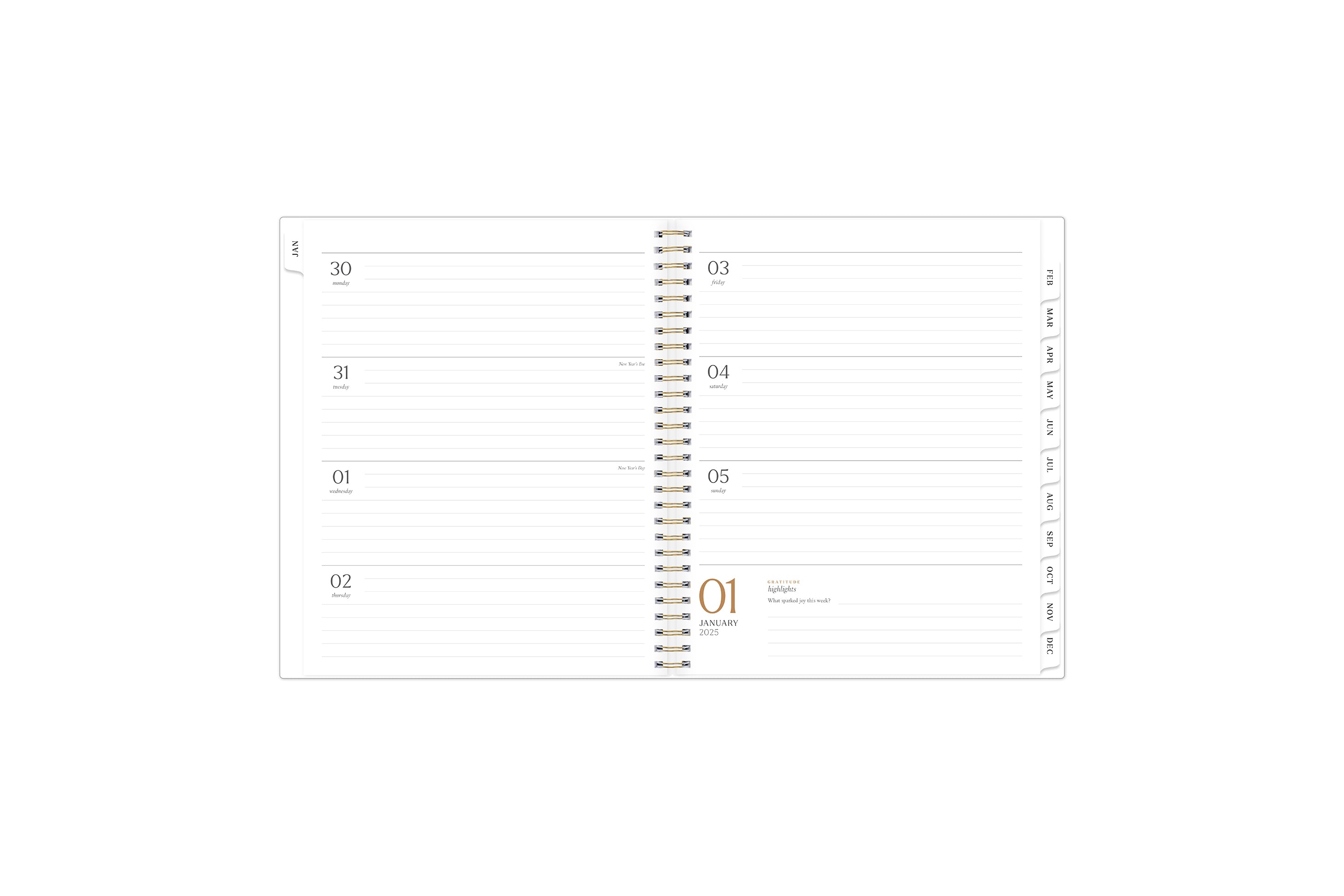 2025 planner featuring a weekly spread with lined writing space, bullet points, and monthly white tabs with black text.
