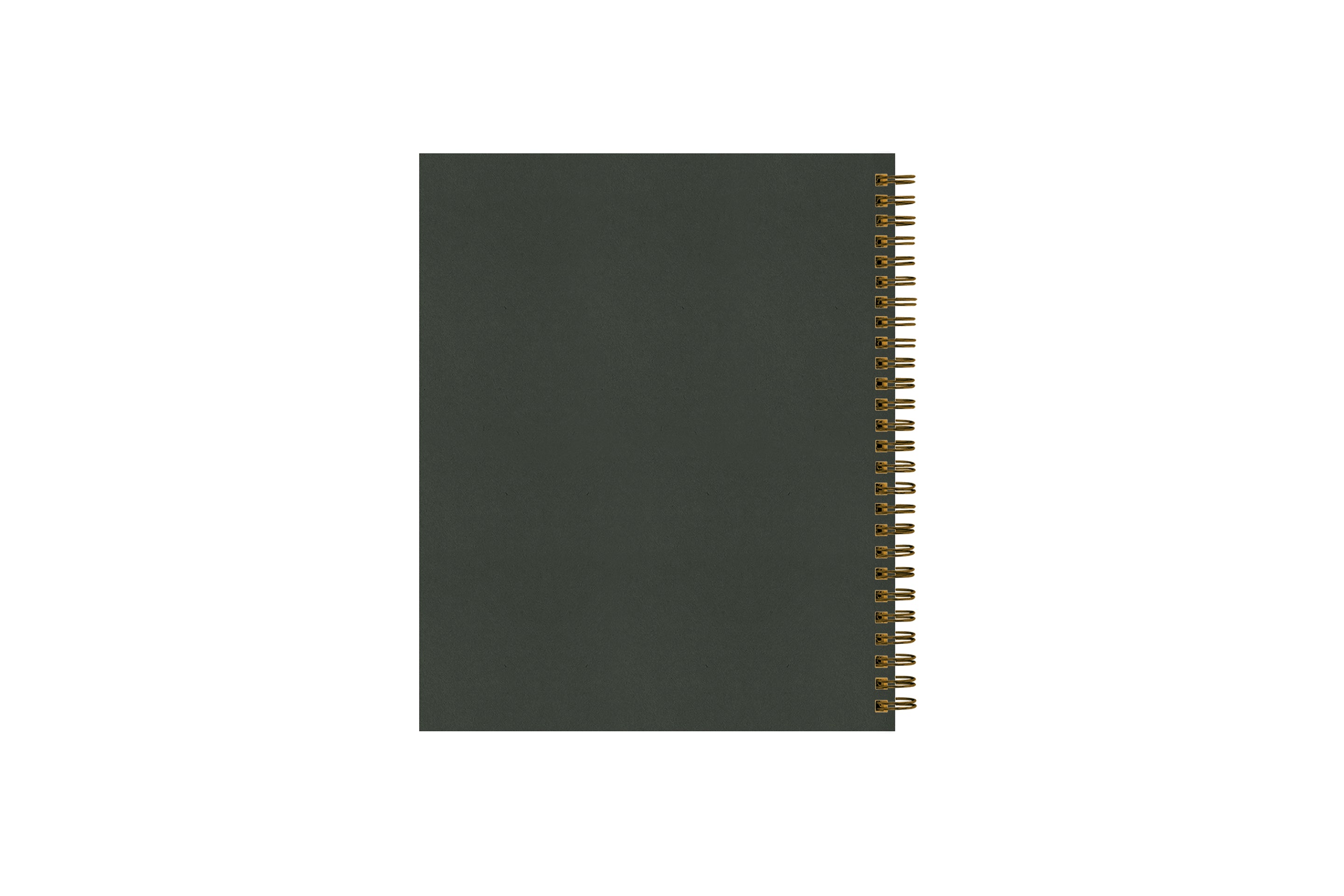 solid dark green back cover on this 2025 planner 7x9