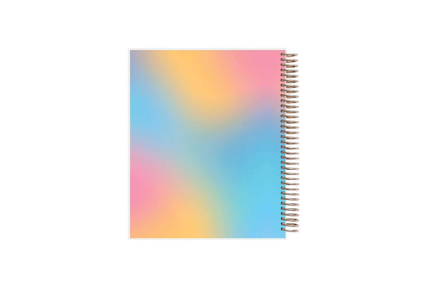 2025 rainbow back cover on this 7x9 livewell weekly planner.