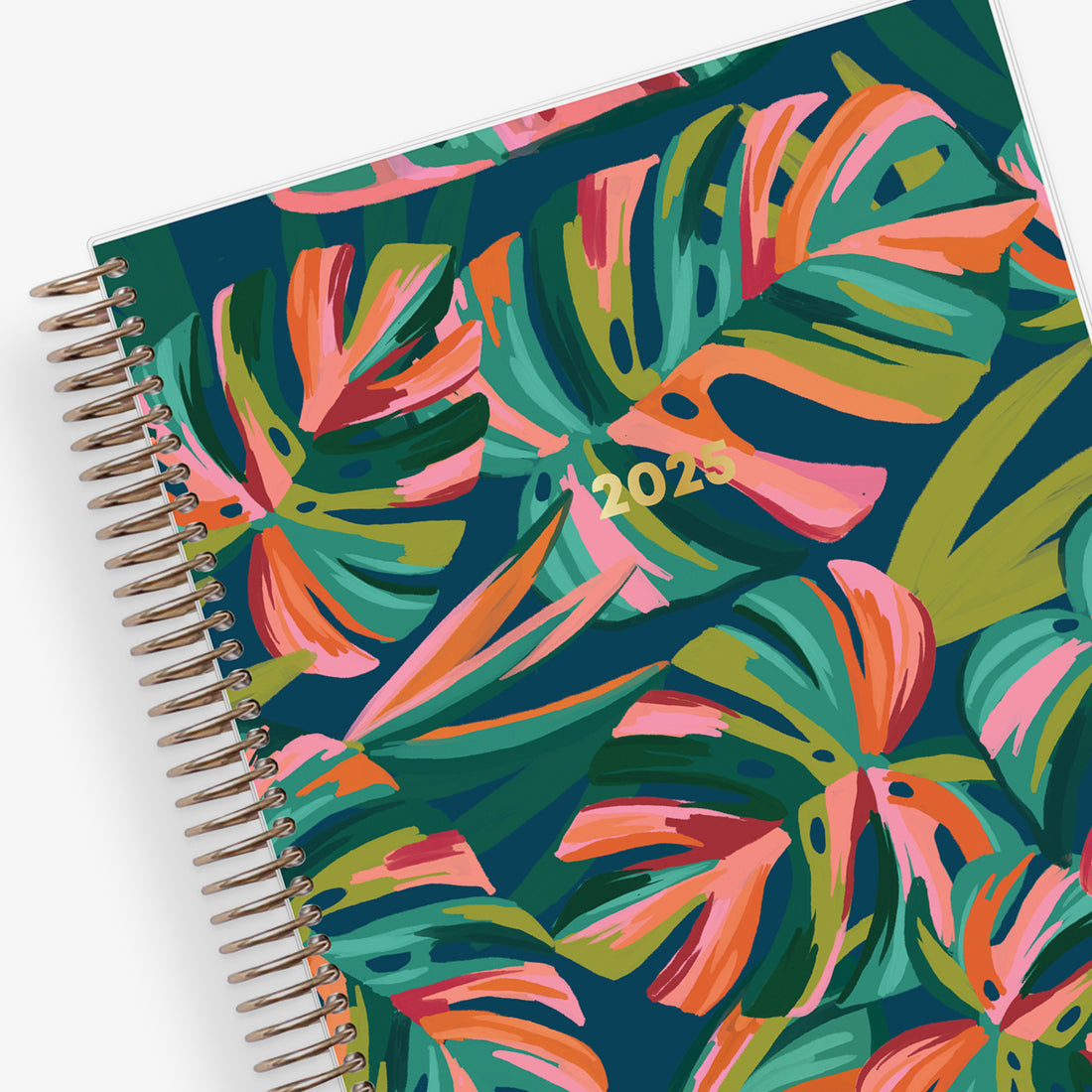 Colored Monstera plant front cover on this 7x9 livewell daily planner