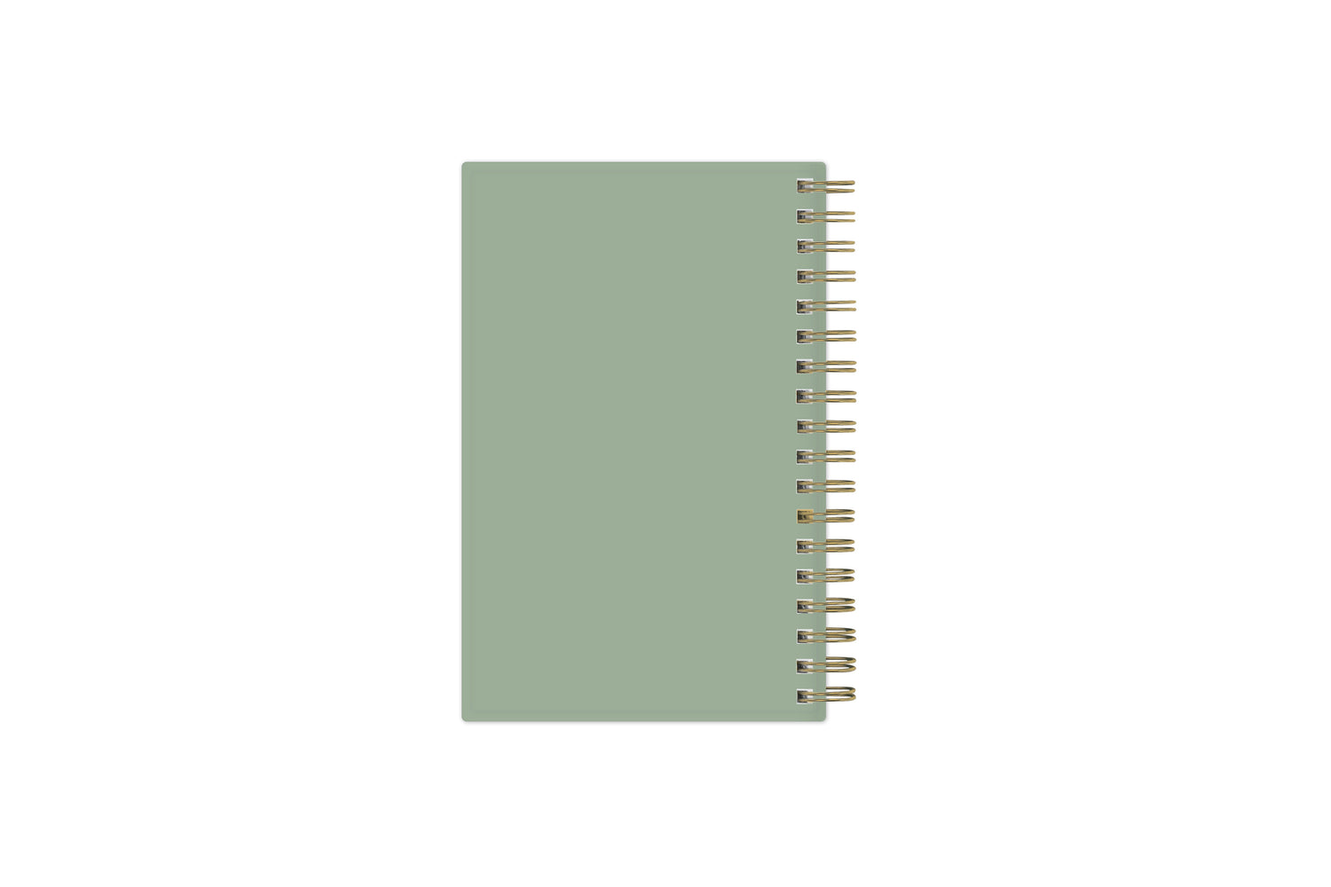 solid sage green backcover in a pocket sized planner