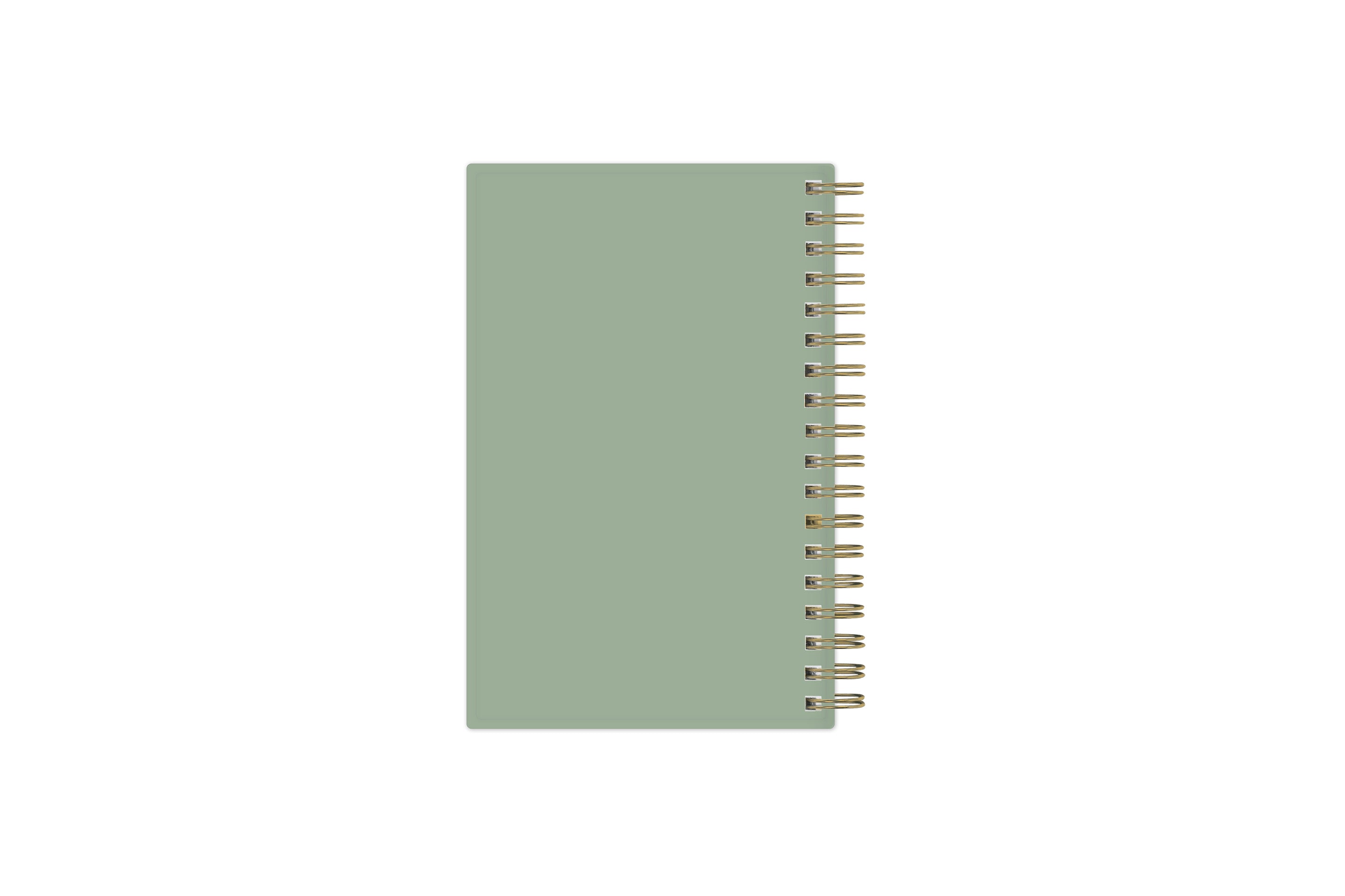 solid sage green backcover in a pocket sized planner