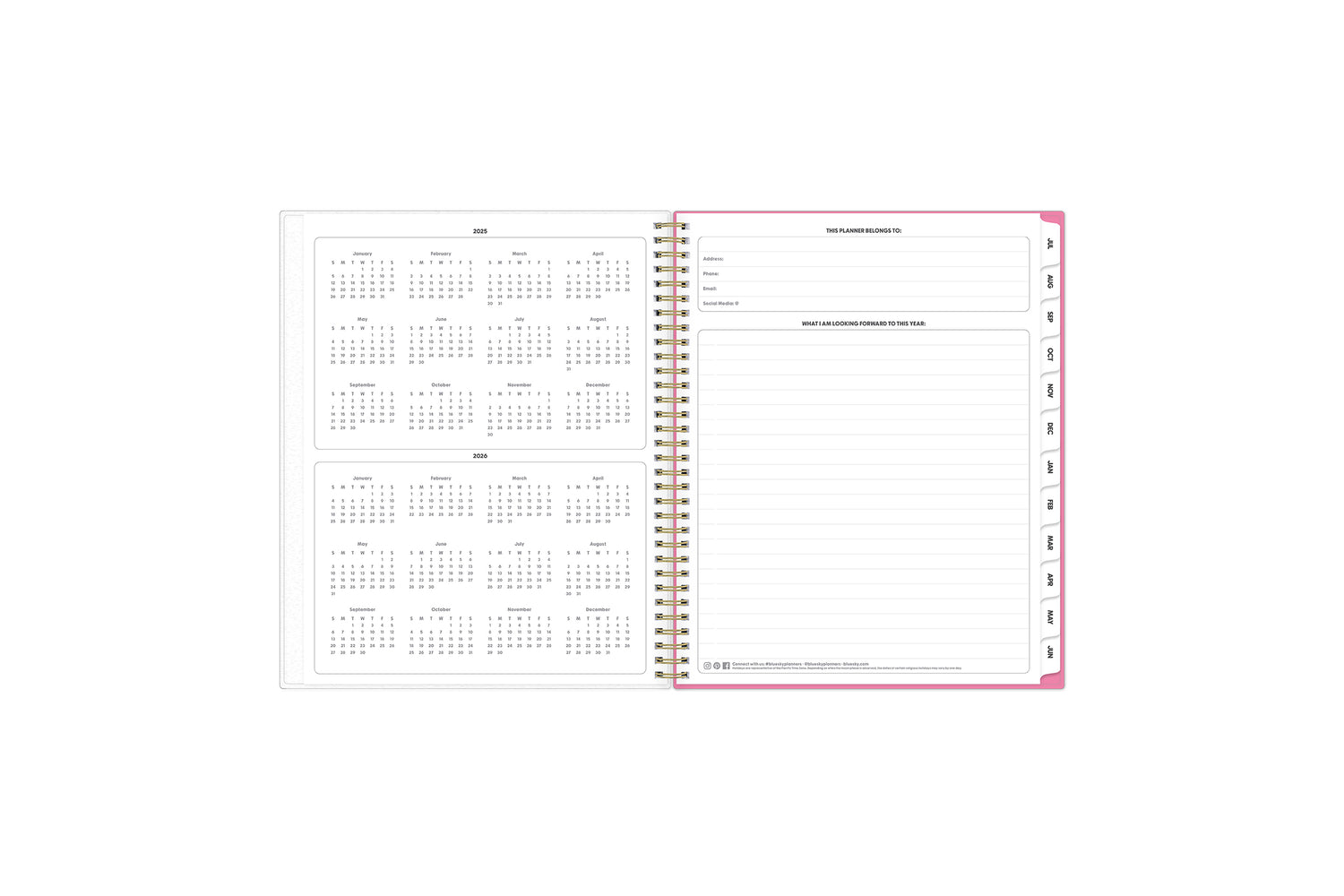 2025 to 2026 yearly overview with ownership information and monthly tabs