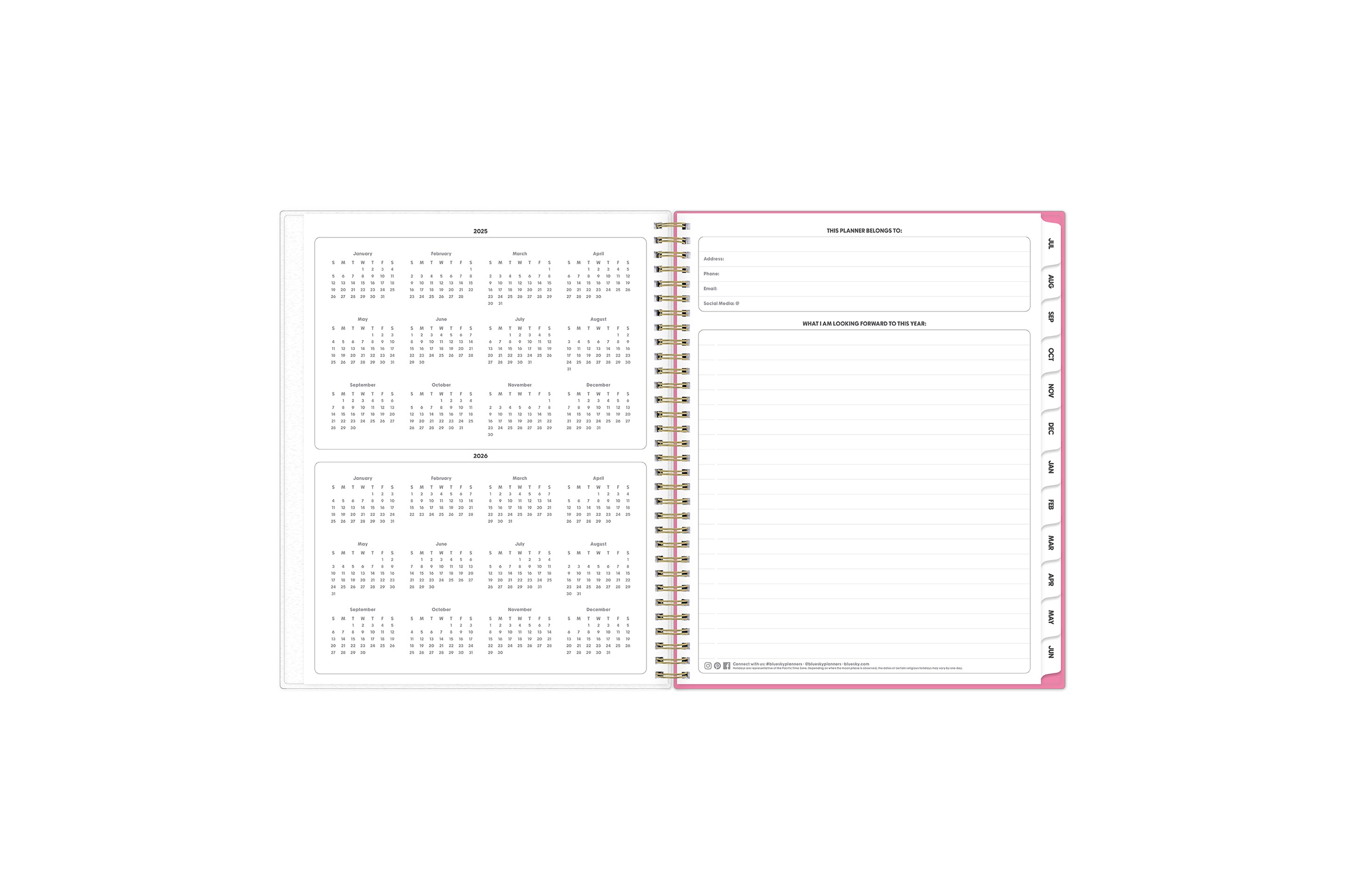 2025 to 2026 yearly overview with ownership information and monthly tabs