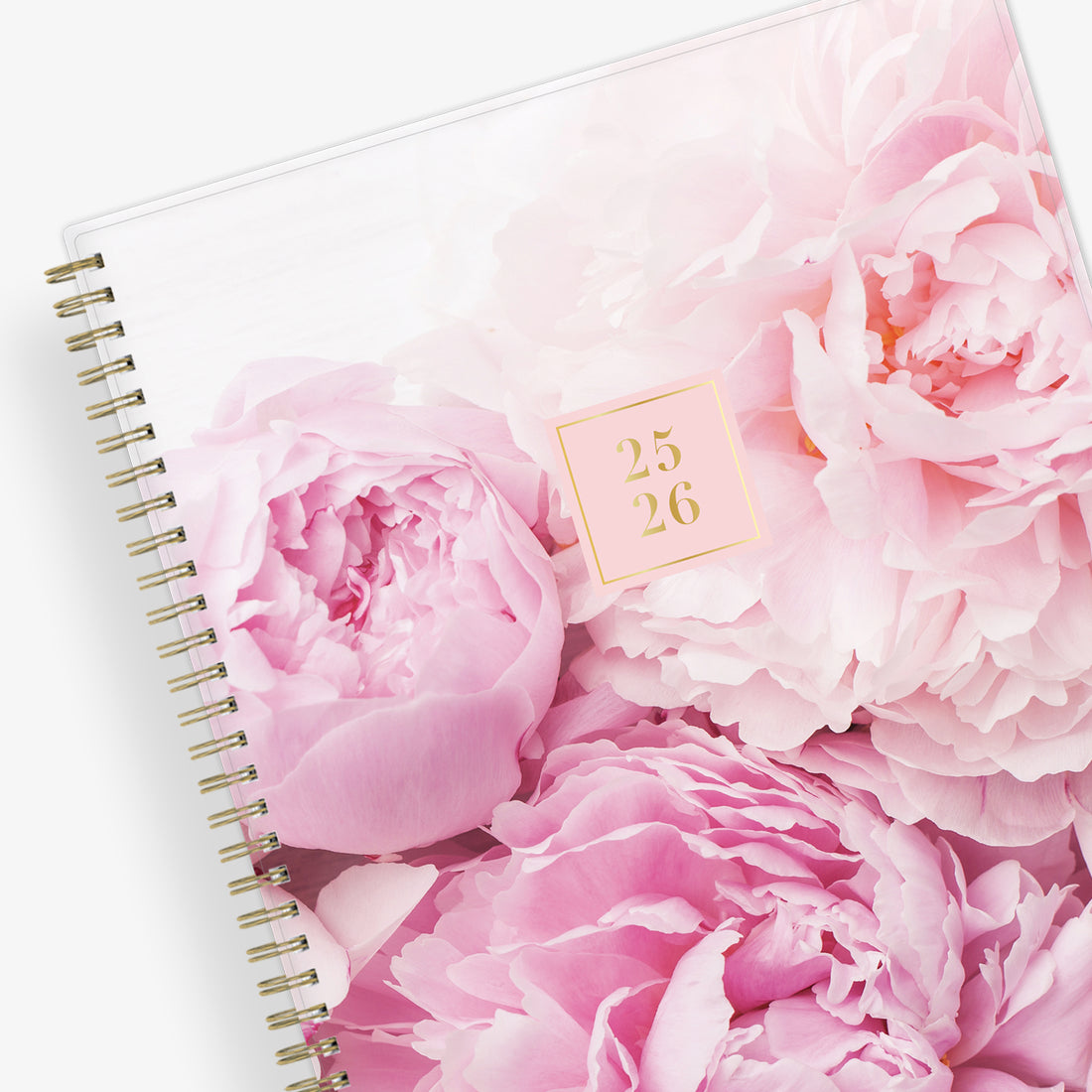 Peony 2025-2026 Monthly 8x10 Rach Parcell for Blue Sky Planning Calendar