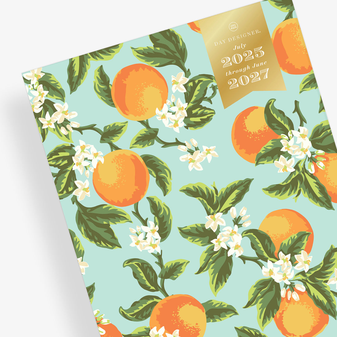 Orange Blossom Mint 2025-2026 24-Month 8.5x11 Day Designer for Blue Sky Planning Calendar