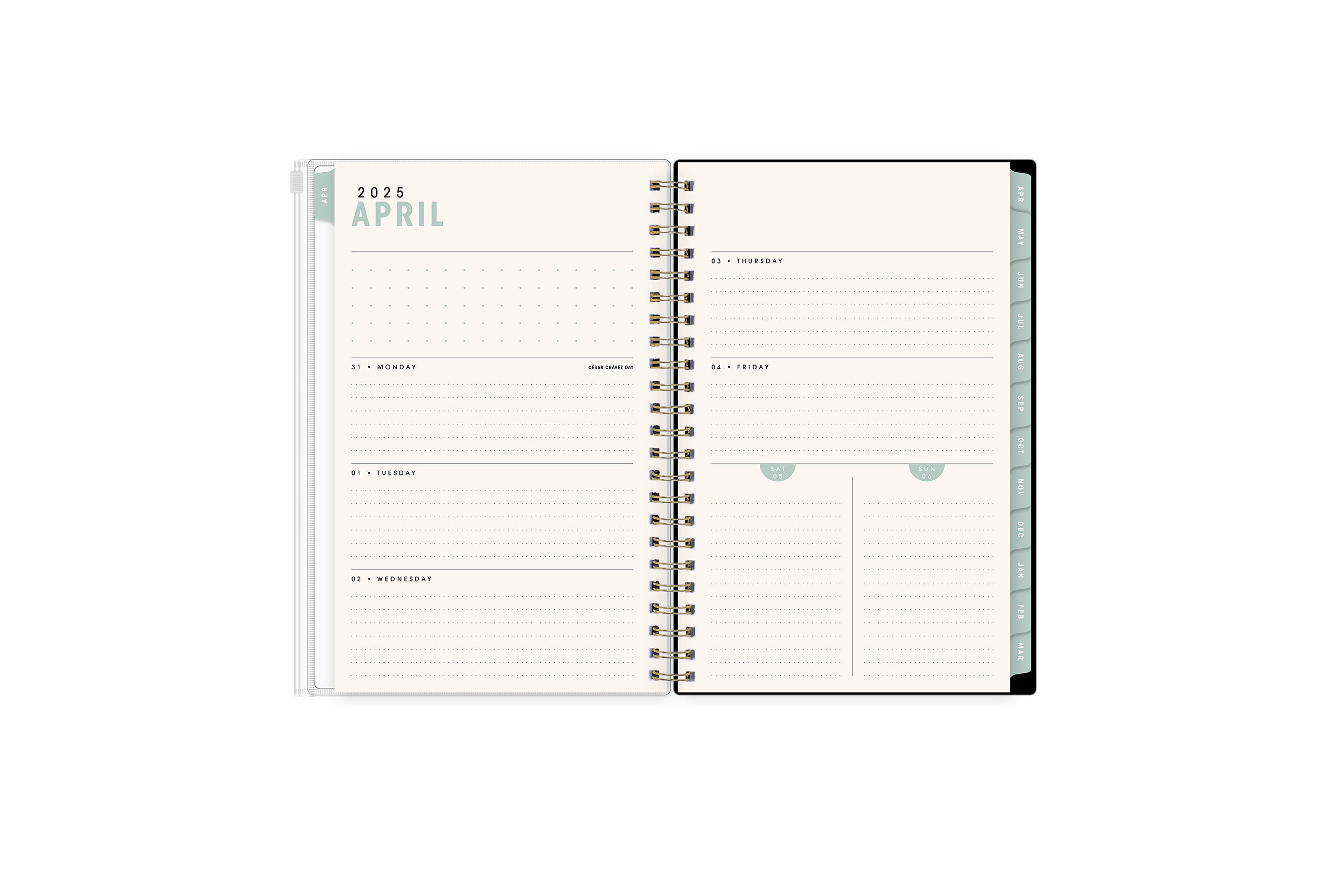 weekly monthly planner featuring a weekly layout with dotted lined writing space, and olive monthly tabs