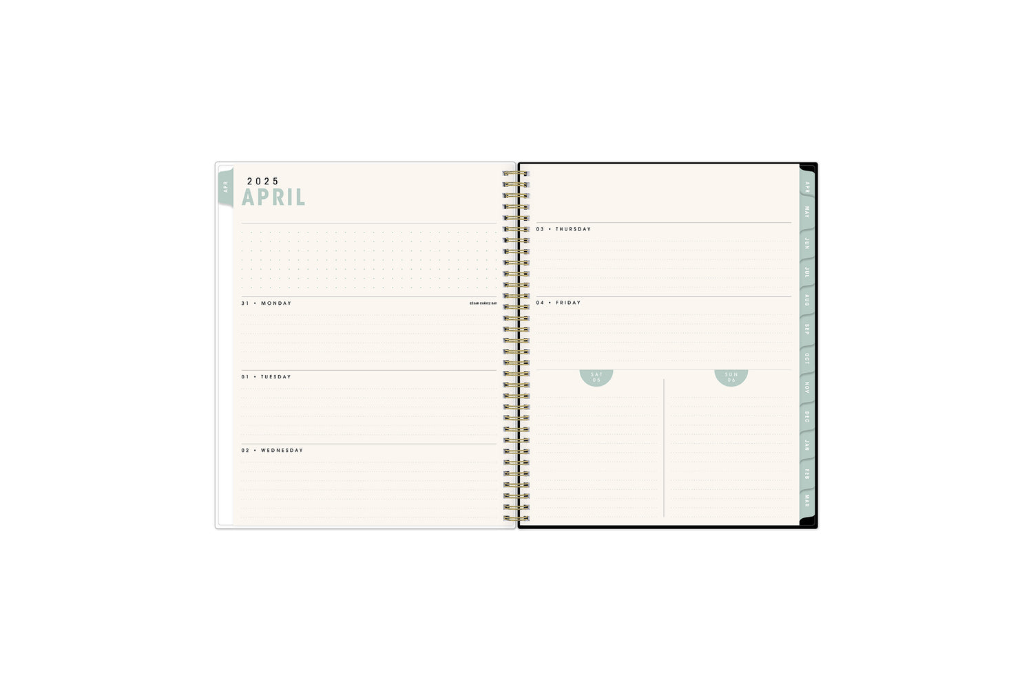 weekly monthly planner featuring a weekly layout with dotted lined writing space, and olive monthly tabs