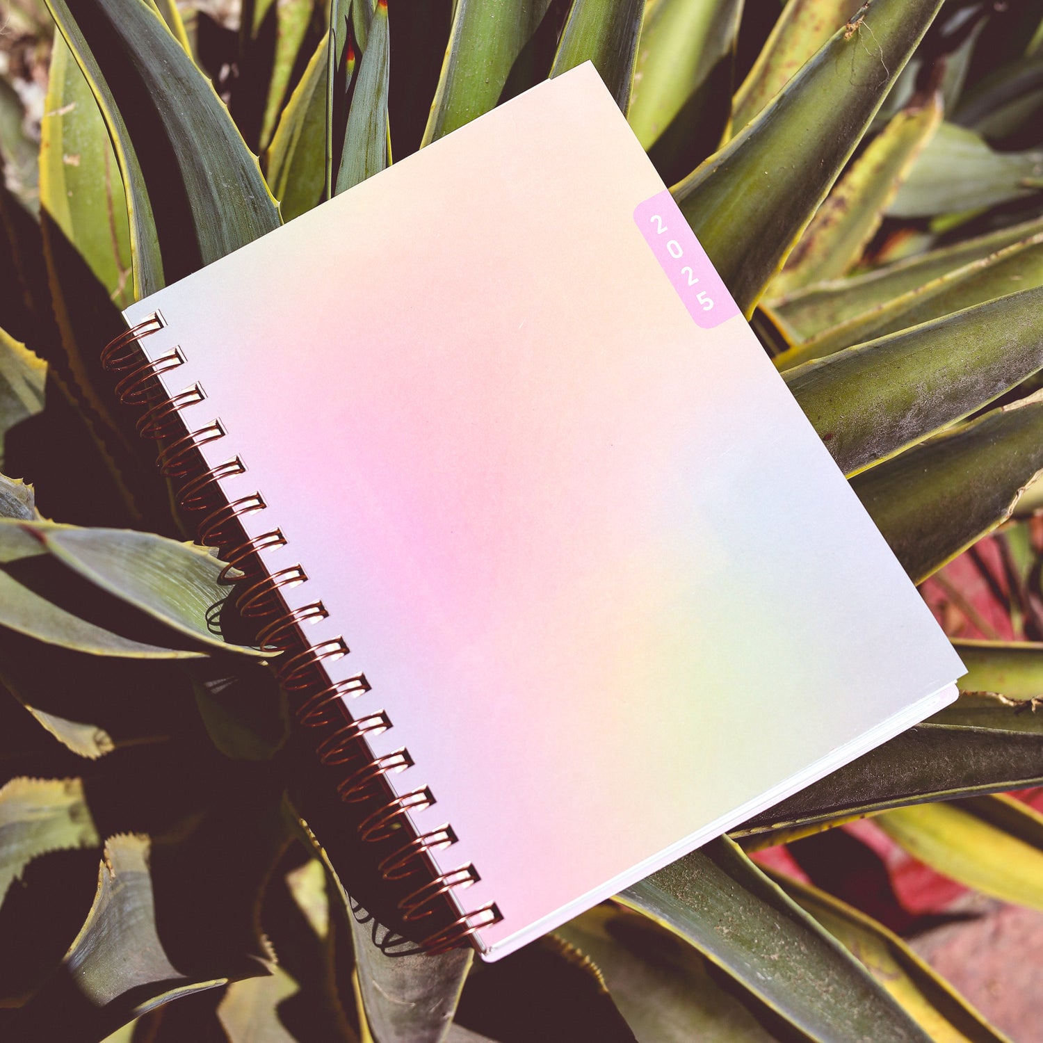 rainbow ombre front cover on this 5.875x8.625 planner notes for 2025